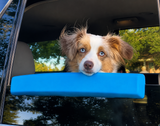 Dog Car Window Chin Rest  Soft Padded Window Armrest for Dogs