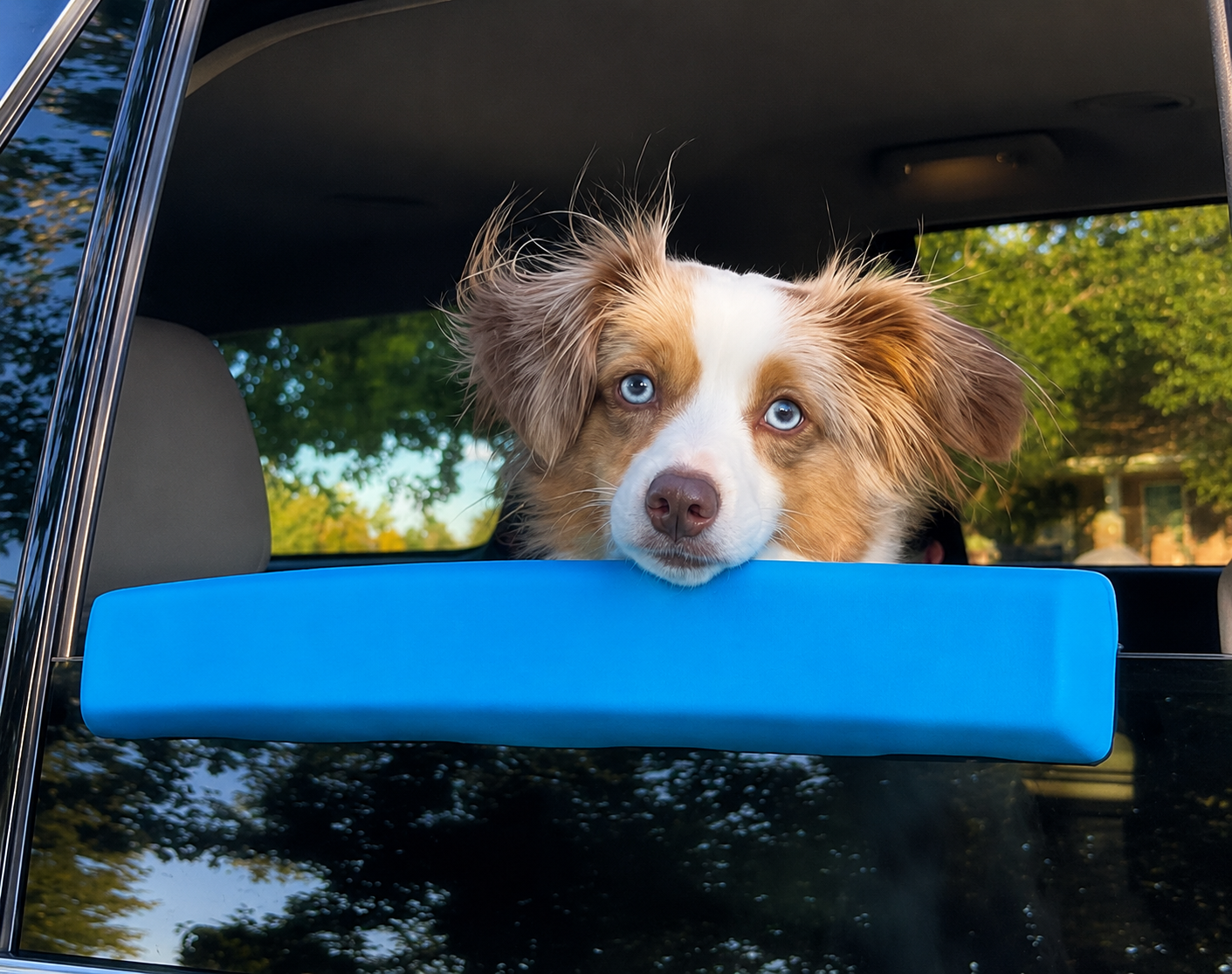 Dog Car Window Chin Rest  Soft Padded Window Armrest for Dogs